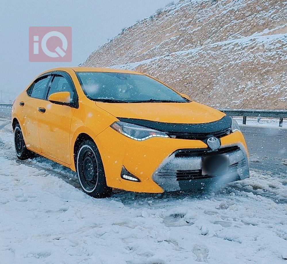 تويوتا كورولا